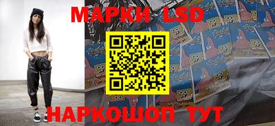 стафф Берёзовский