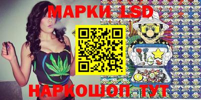 стафф Берёзовский