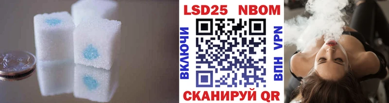 darknet телеграм  продажа наркотиков  Светлоград  Лсд 25 экстази кислота 