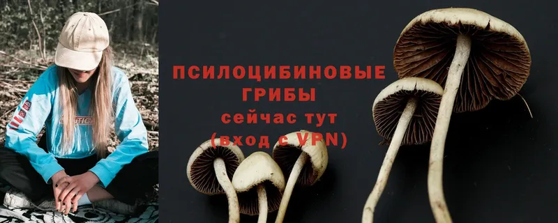 Галлюциногенные грибы MAGIC MUSHROOMS Светлоград