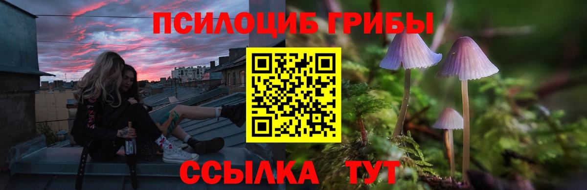 Псилоцибиновые грибы MAGIC MUSHROOMS  где купить наркоту  Светлоград  Галлюциногенные грибы Psilocybe  Вход с VPN 