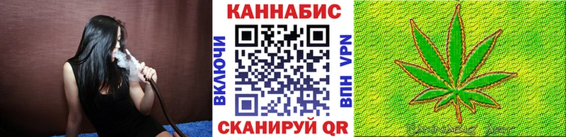 Шишки марихуана планчик  где купить наркоту  Светлоград 