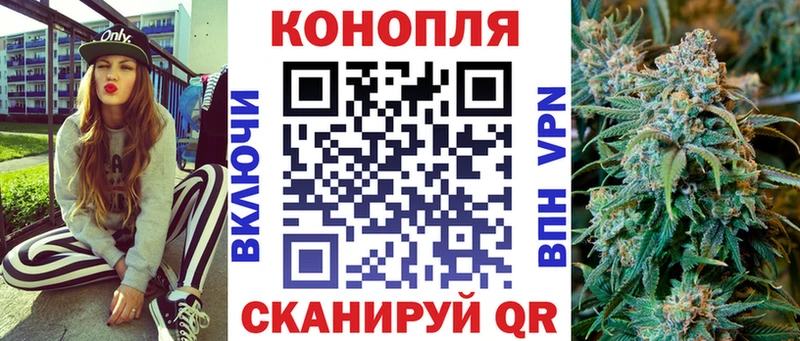 Бошки Шишки план Светлоград